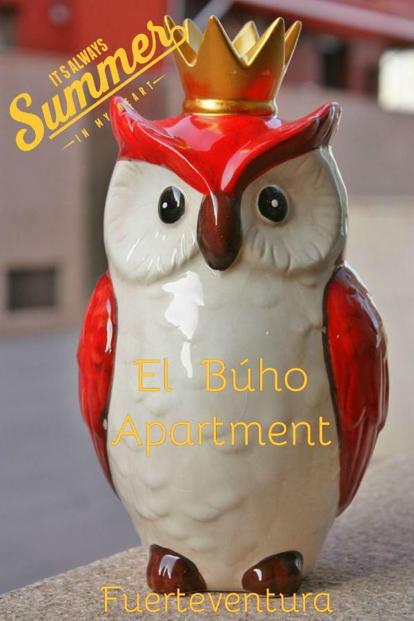 El Buho Apartment Wi-Fi Пуерто-дель-Росаріо Екстер'єр фото